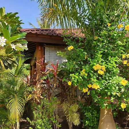 מאומרה Waiara Village Guesthouse מראה חיצוני תמונה