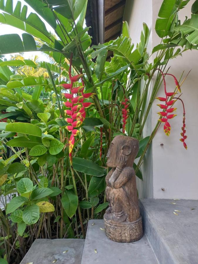 מאומרה Waiara Village Guesthouse מראה חיצוני תמונה
