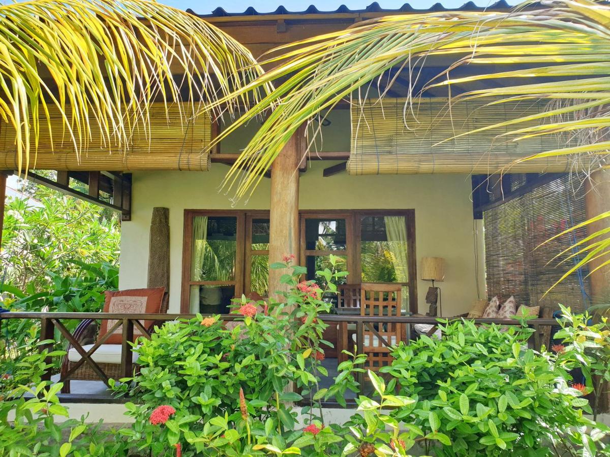 מאומרה Waiara Village Guesthouse מראה חיצוני תמונה