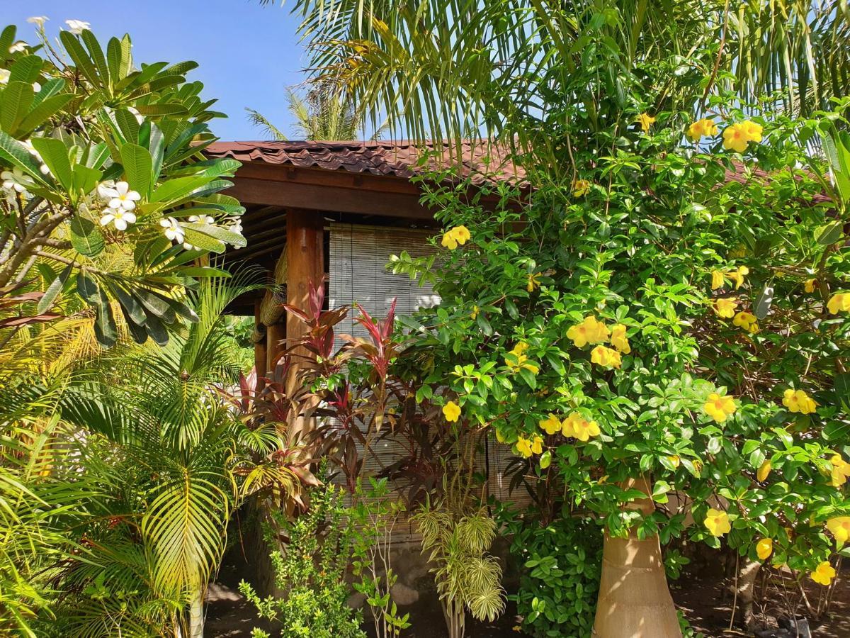 מאומרה Waiara Village Guesthouse מראה חיצוני תמונה