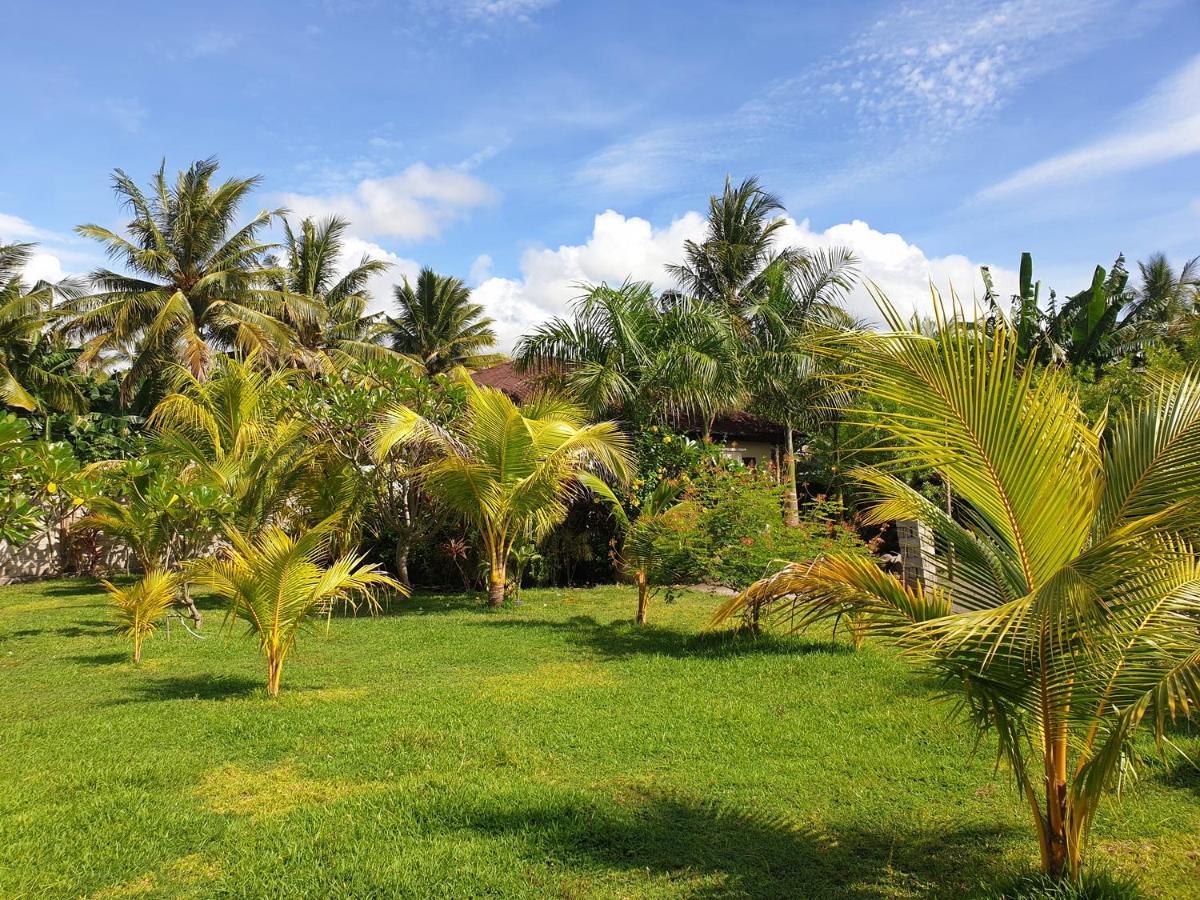 מאומרה Waiara Village Guesthouse מראה חיצוני תמונה