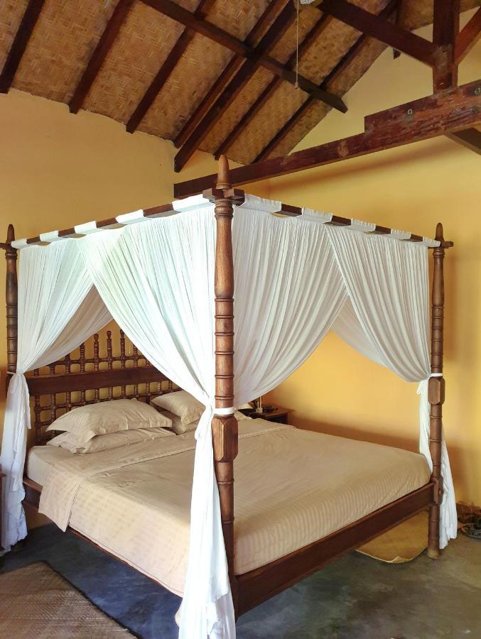 מאומרה Waiara Village Guesthouse מראה חיצוני תמונה